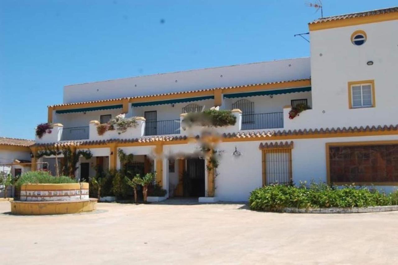 Finca La Tacita - Petunia コニル・デ・ラ・フロンテラ エクステリア 写真